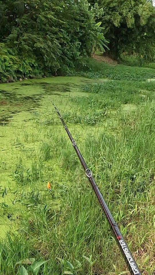 TikTok video thumbnail by drv_fishing