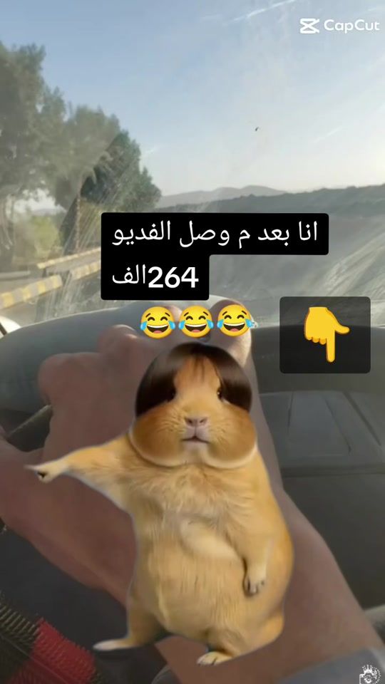 TikTok video thumbnail by .903093