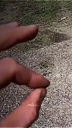 TikTok video thumbnail by vip_artsax