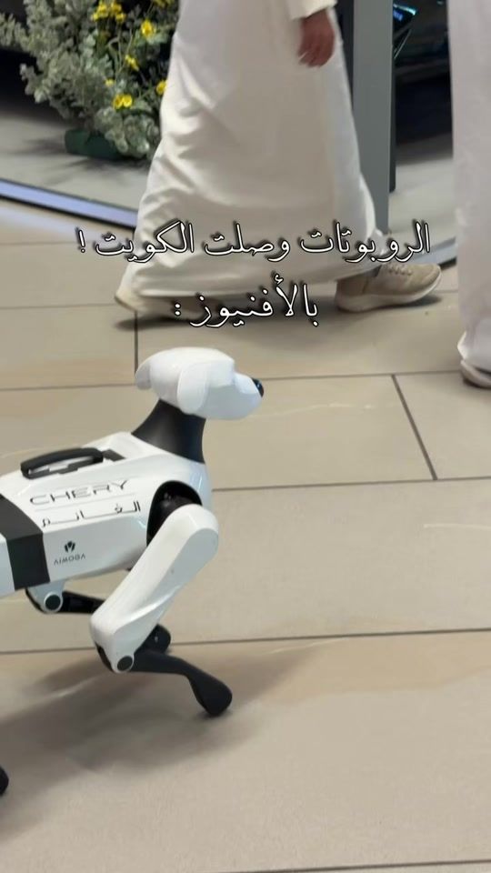 TikTok video thumbnail by noyer_trend