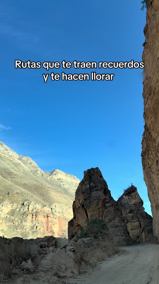 TikTok video thumbnail by manuelugartemedina