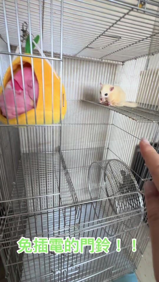 TikTok video thumbnail by es8010206