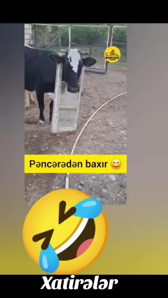 TikTok video thumbnail by _veten__perver
