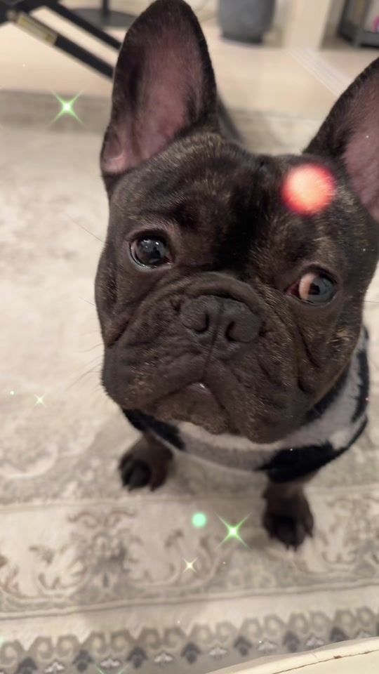 TikTok video thumbnail by ma_ii289
