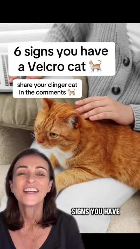 TikTok video thumbnail by drkatrinawarren