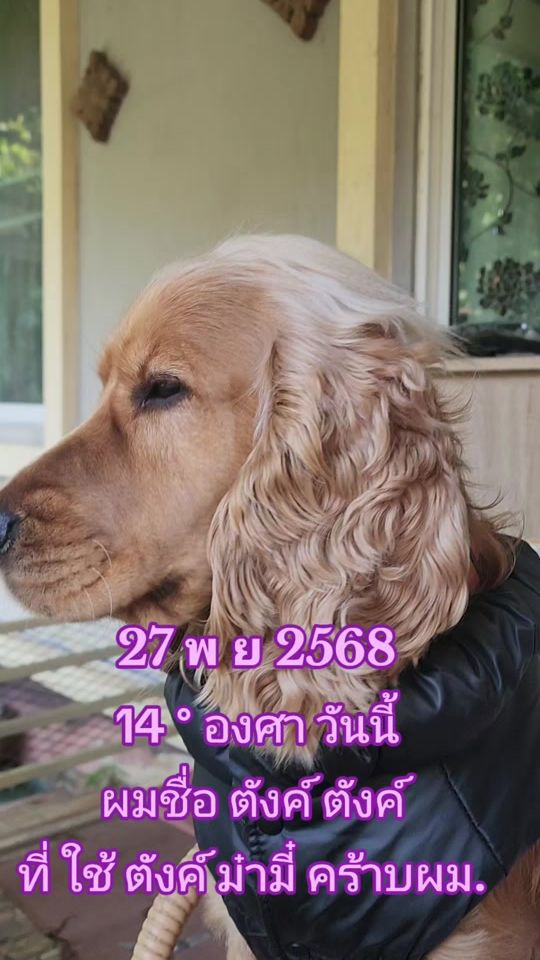 TikTok video thumbnail by user6848788586159