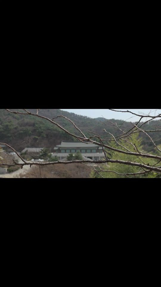 TikTok video thumbnail by wigo441