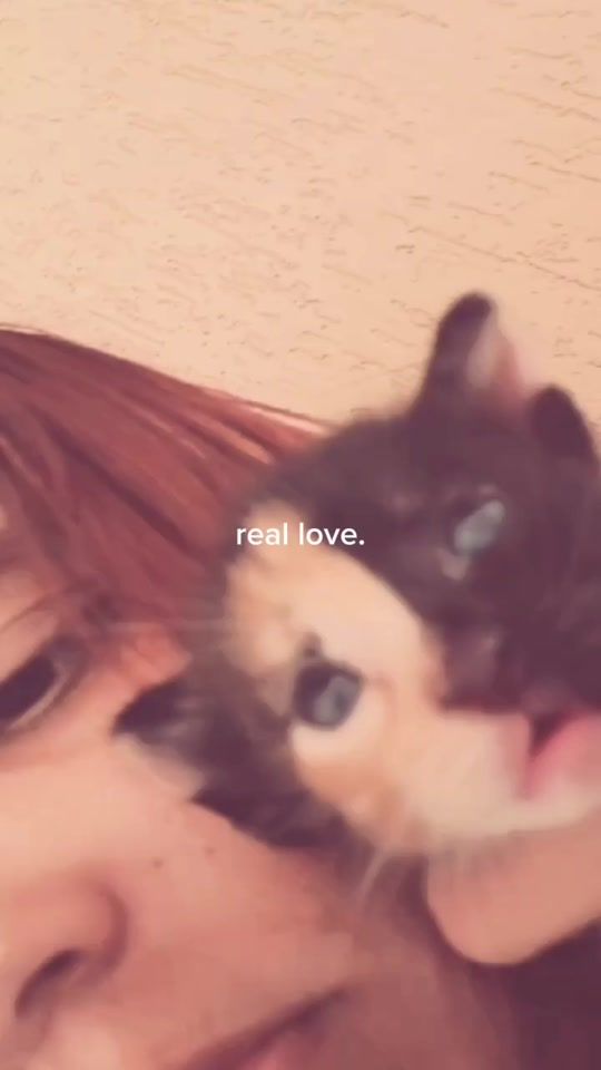 TikTok video thumbnail by melly_izx6
