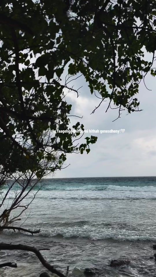 TikTok video thumbnail by afer.rr