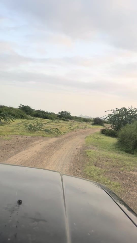 TikTok video thumbnail by essobaloch