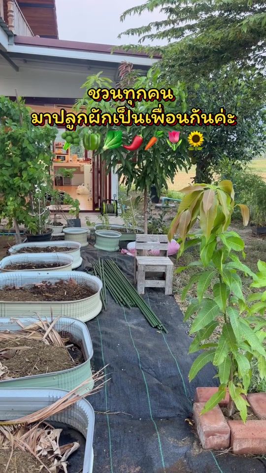 TikTok video thumbnail by 888.ou