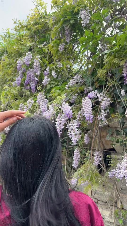 TikTok video thumbnail by r.zinnnnn