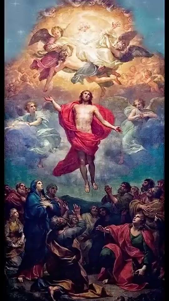 TikTok video thumbnail by cardenassanchezjo