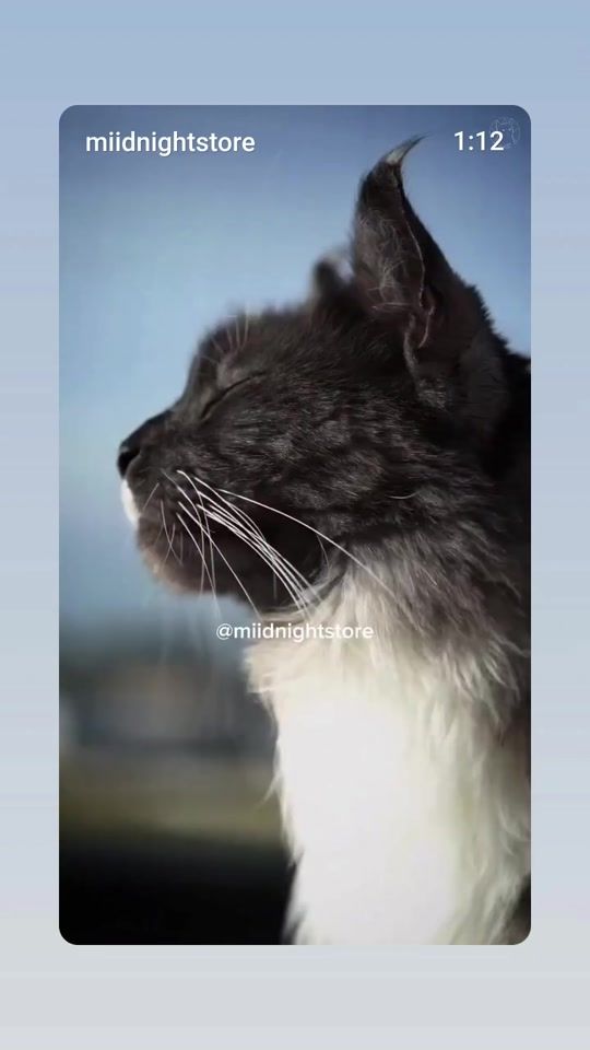 TikTok video thumbnail by maria.lucia.freit72