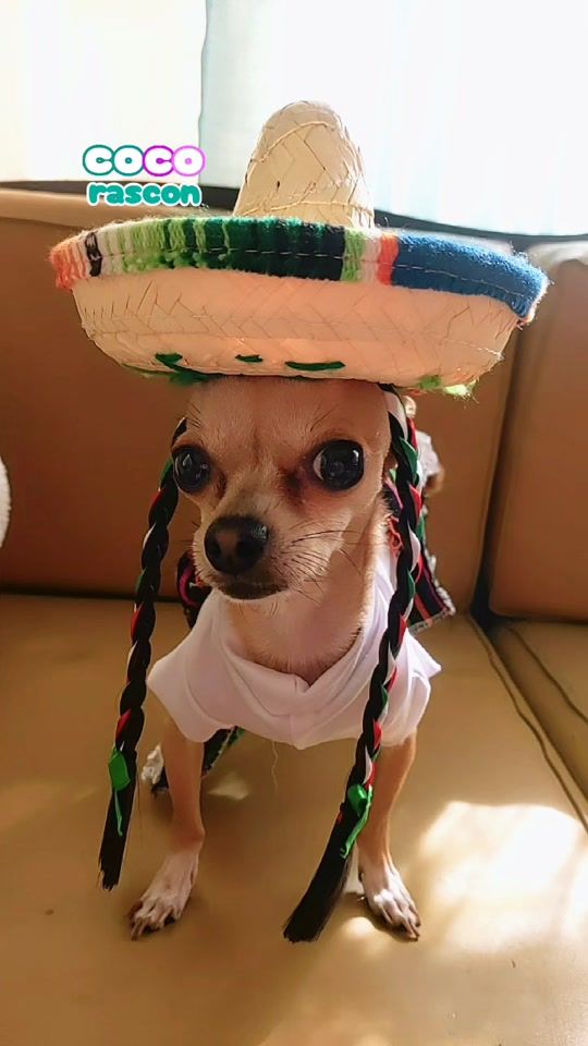 TikTok video thumbnail by cocorascon