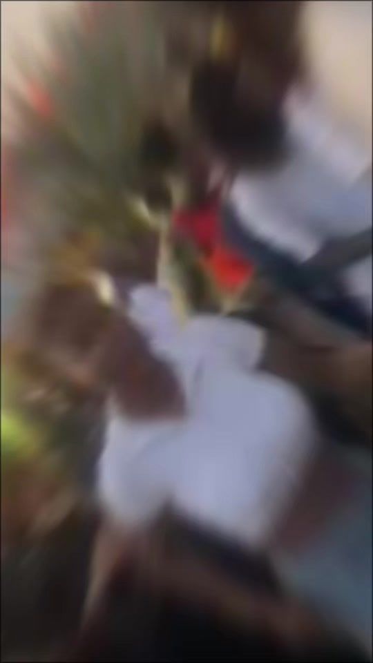 TikTok video thumbnail by cess2fynnnn