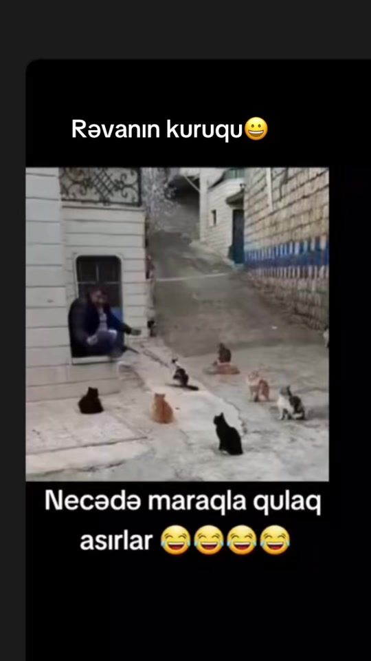 TikTok video thumbnail by leyla.nur1yeva