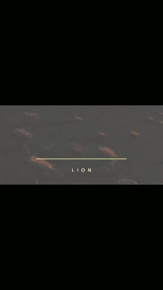 TikTok video thumbnail by official_lawan