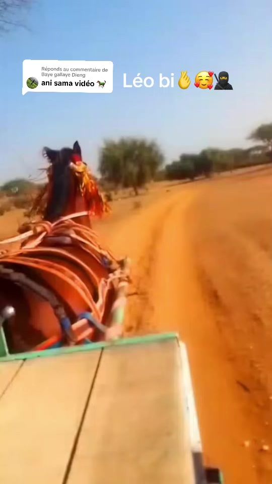 TikTok video thumbnail by ndiaga4560