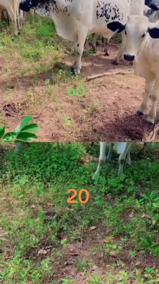 TikTok video thumbnail by umar.mohammed547