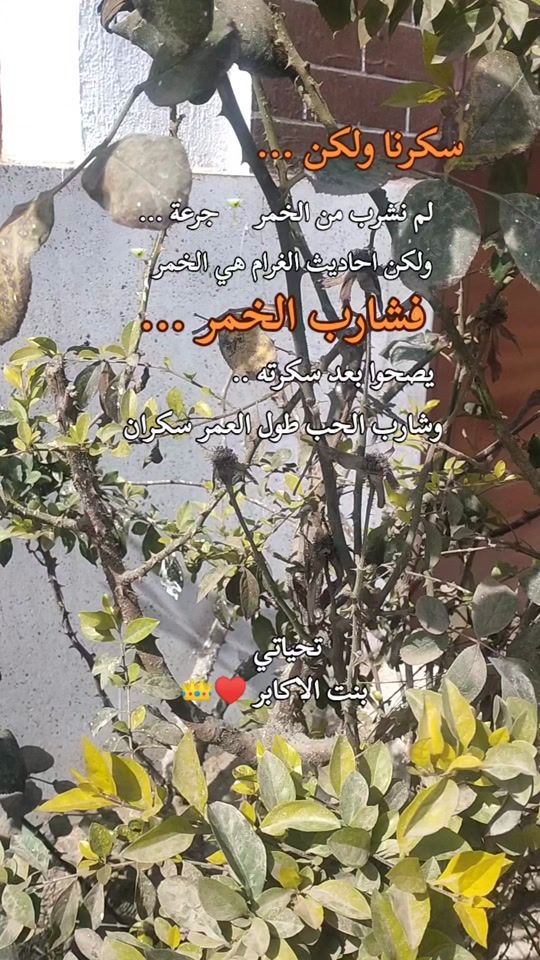 TikTok video thumbnail by bentalkaber.come0