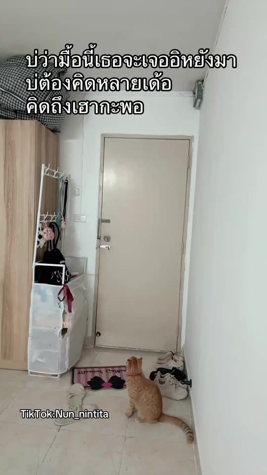 TikTok video thumbnail by nun_nintita
