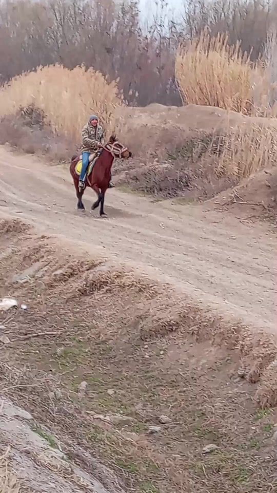 TikTok video thumbnail by ilkin__terterli