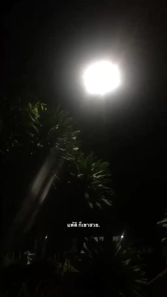 TikTok video thumbnail by bell_o50