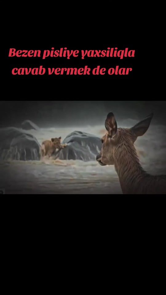 TikTok video thumbnail by _sonuncu_saniye_