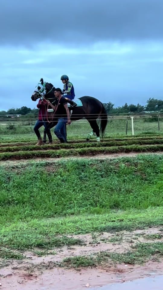 TikTok video thumbnail by caballero_247