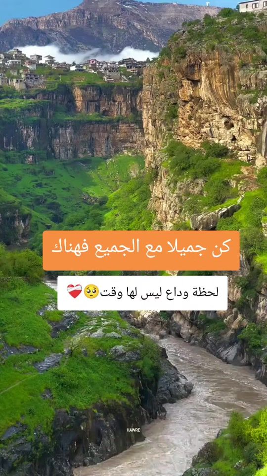 TikTok video thumbnail by qi_f6