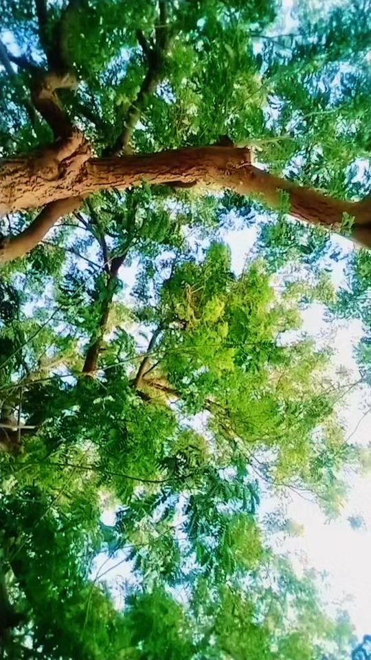 TikTok video thumbnail by madhuri.madhuri44