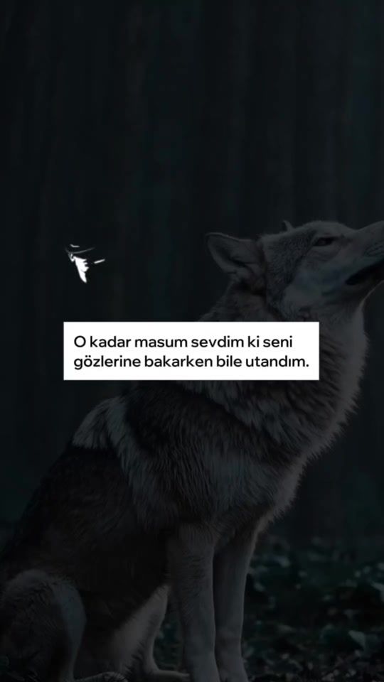 TikTok video thumbnail by yorgunbays