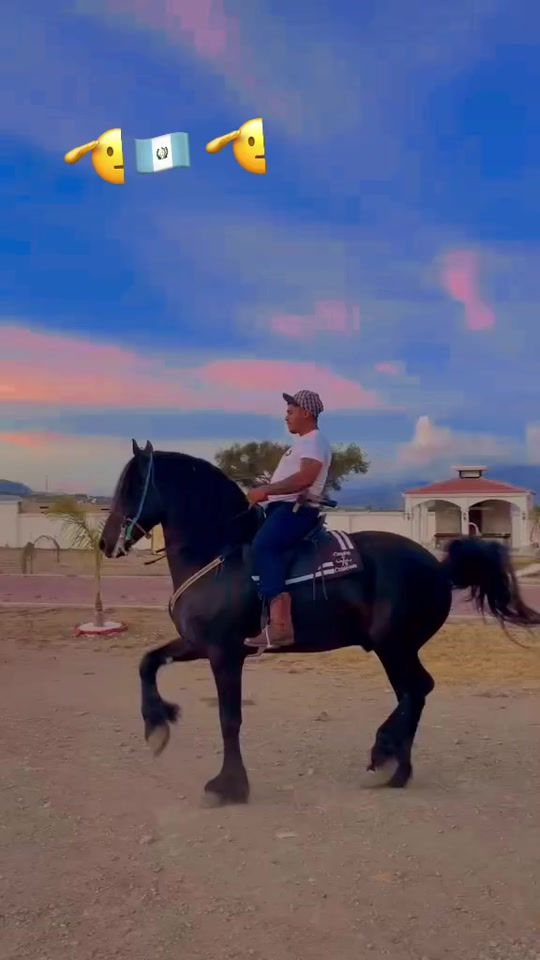 TikTok video thumbnail by david.padilla159