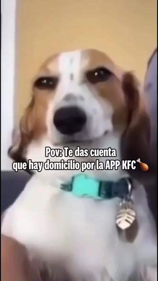 TikTok video thumbnail by kfcpty