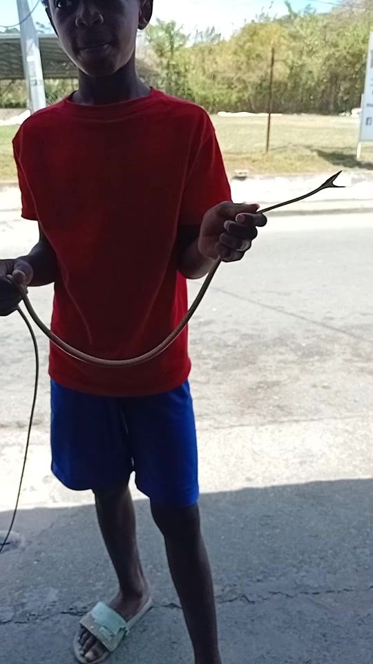 TikTok video thumbnail by akil.sandy8