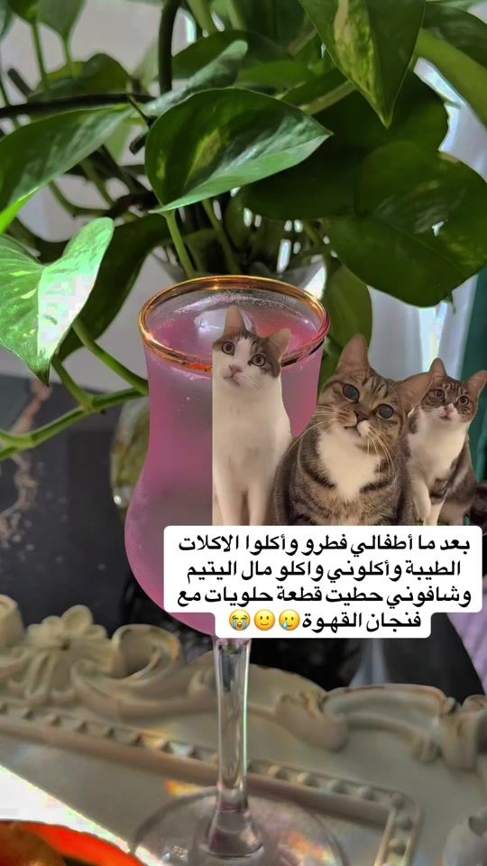 TikTok video thumbnail by marwa_a_li