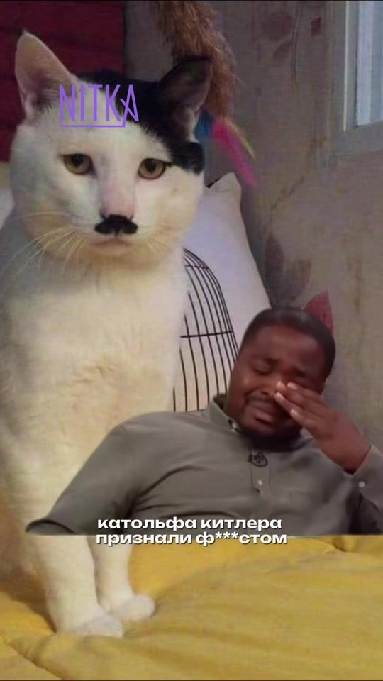 TikTok video thumbnail by nitka_tt