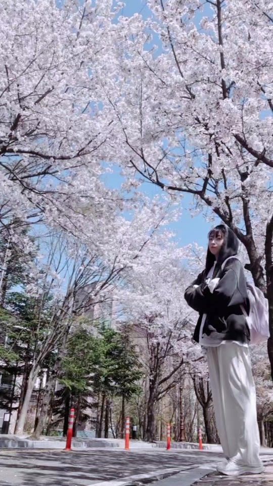 TikTok video thumbnail by soy0815
