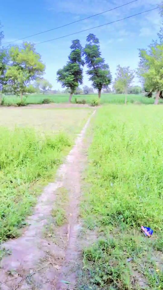 TikTok video thumbnail by kiran_misba