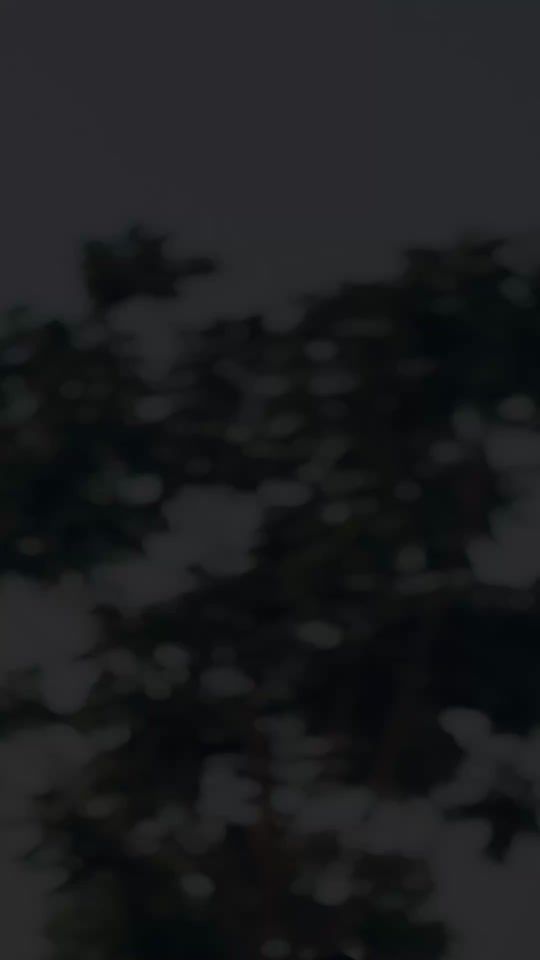 TikTok video thumbnail by omarshawali1