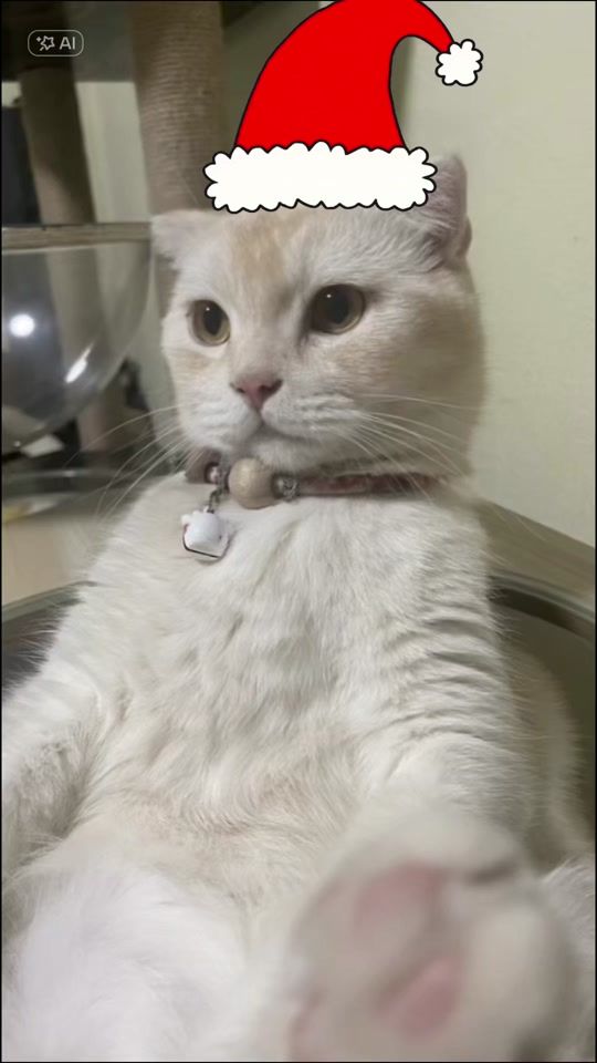 TikTok video thumbnail by pannapatinfinity