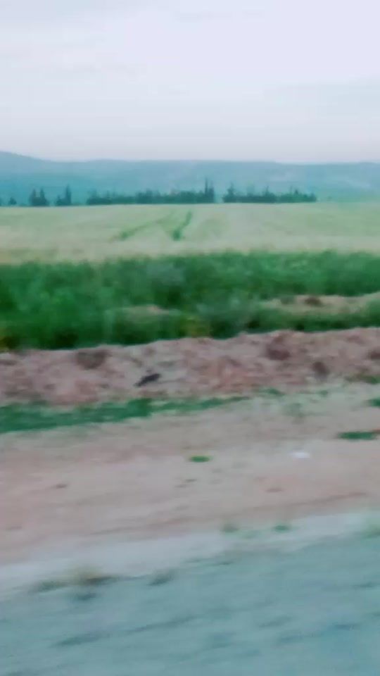 TikTok video thumbnail by user2721520838883