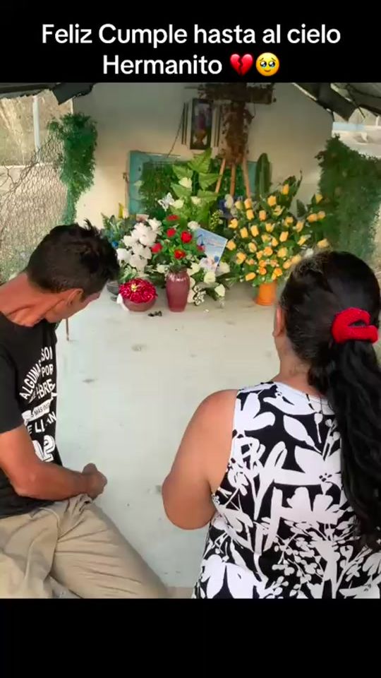 TikTok video thumbnail by marranos01