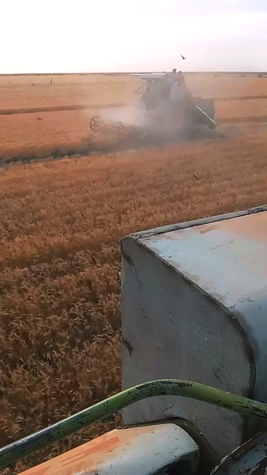 TikTok video thumbnail by kabosss59