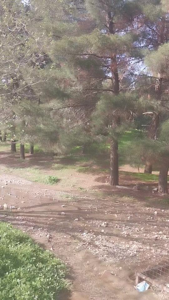 TikTok video thumbnail by dp.d78