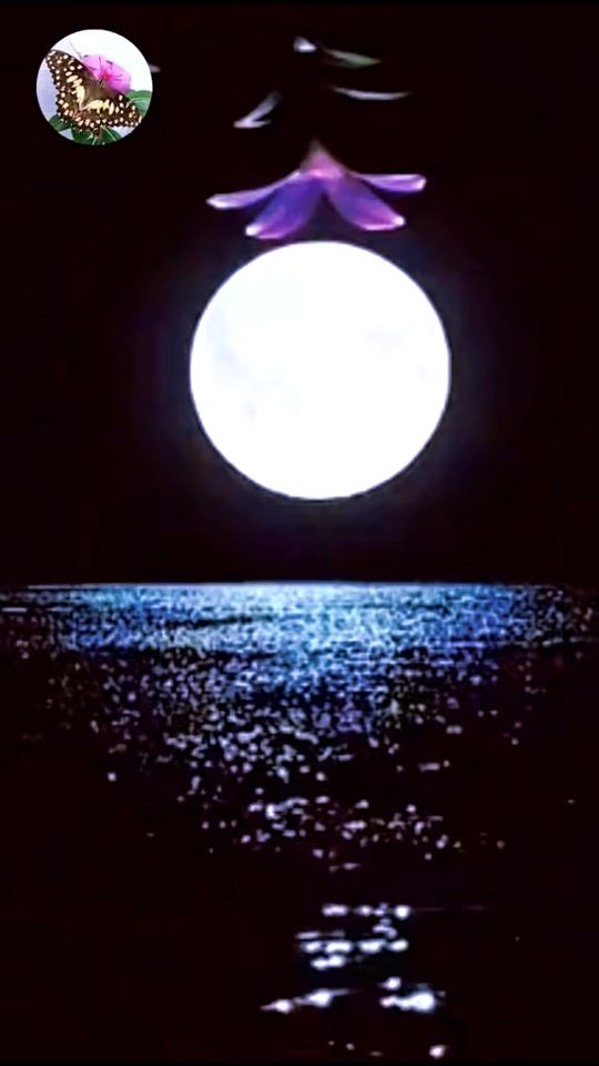 TikTok video thumbnail by loveplusnature