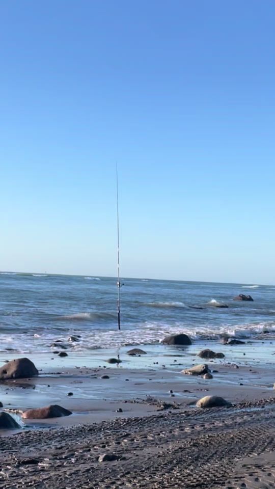 TikTok video thumbnail by salty.surfcaster