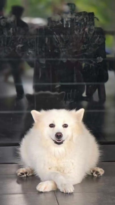 TikTok video thumbnail by namtarnn_58