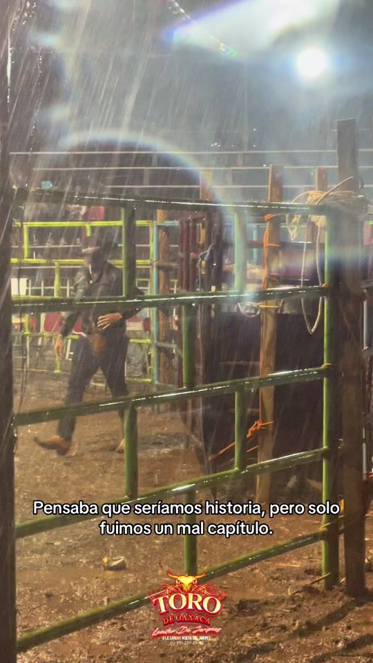 TikTok video thumbnail by toro_de_oaxaca